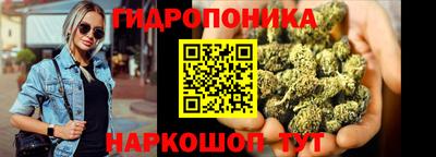 спиды Заводоуковск